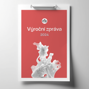 AID_vyrocka_2024_web