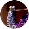 nastroje_viola.the-bird